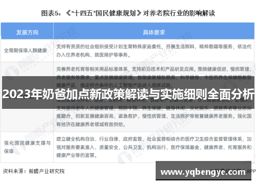 2023年奶爸加点新政策解读与实施细则全面分析