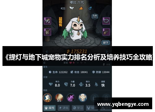 《提灯与地下城宠物实力排名分析及培养技巧全攻略》